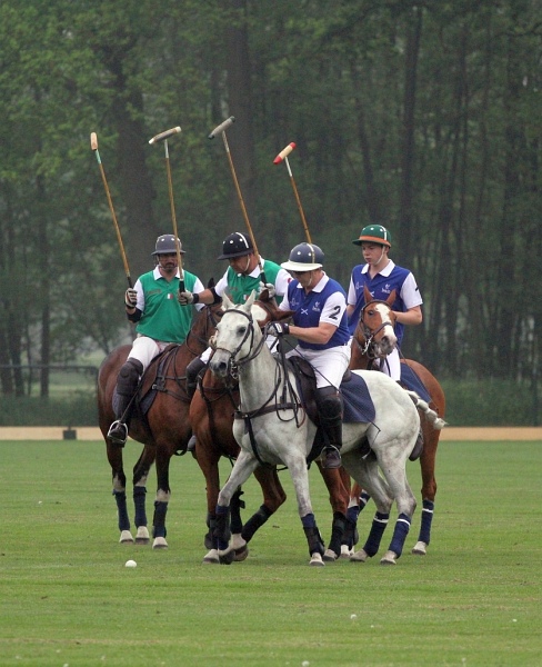 Polo_Art   014.jpg